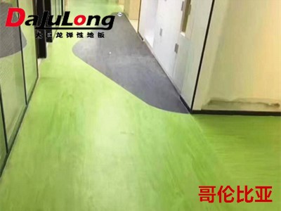 Da julong Directional Homogeneous Flooring