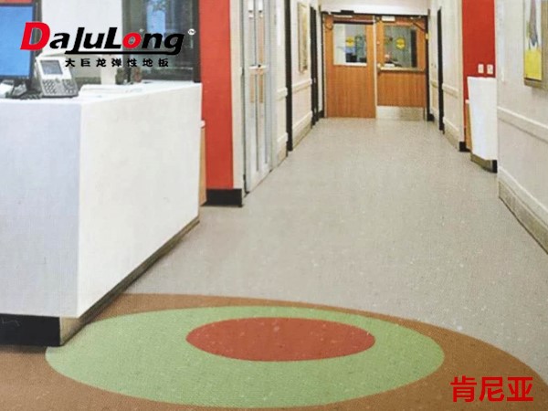 Da julong Kenya Homogeneous  Flooring coil