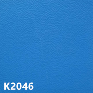 K20456