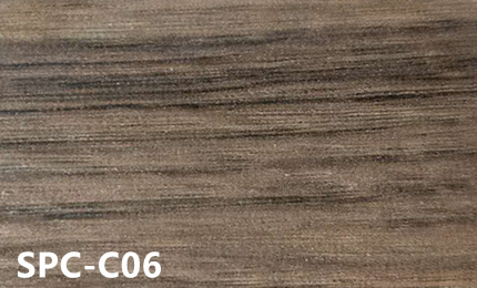 SPC-C06