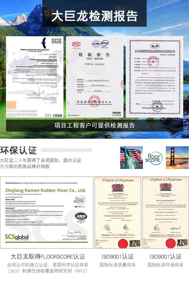 大巨龍環保證書