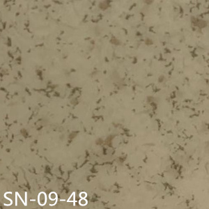 SN-09-48 大巨龍靈動系列-大巨龍密實底商用卷材pvc塑膠地