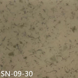 SN-09-30 大巨龍靈動系列-大巨龍密實底商用卷材pvc塑膠地