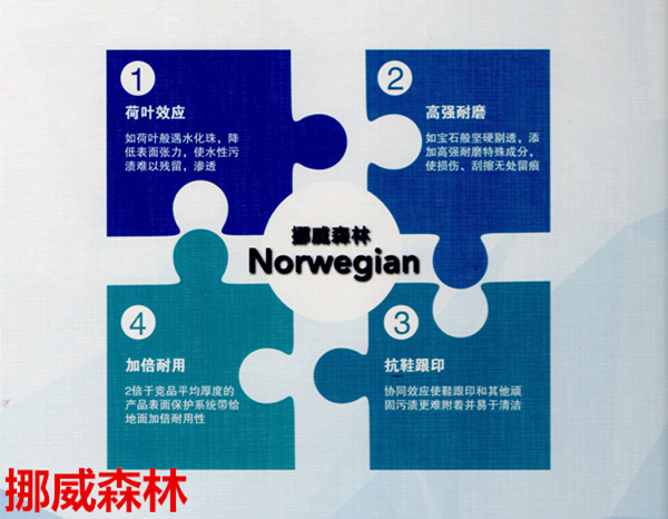 大巨龍挪威森林pvc地板-無方向同質透心地板